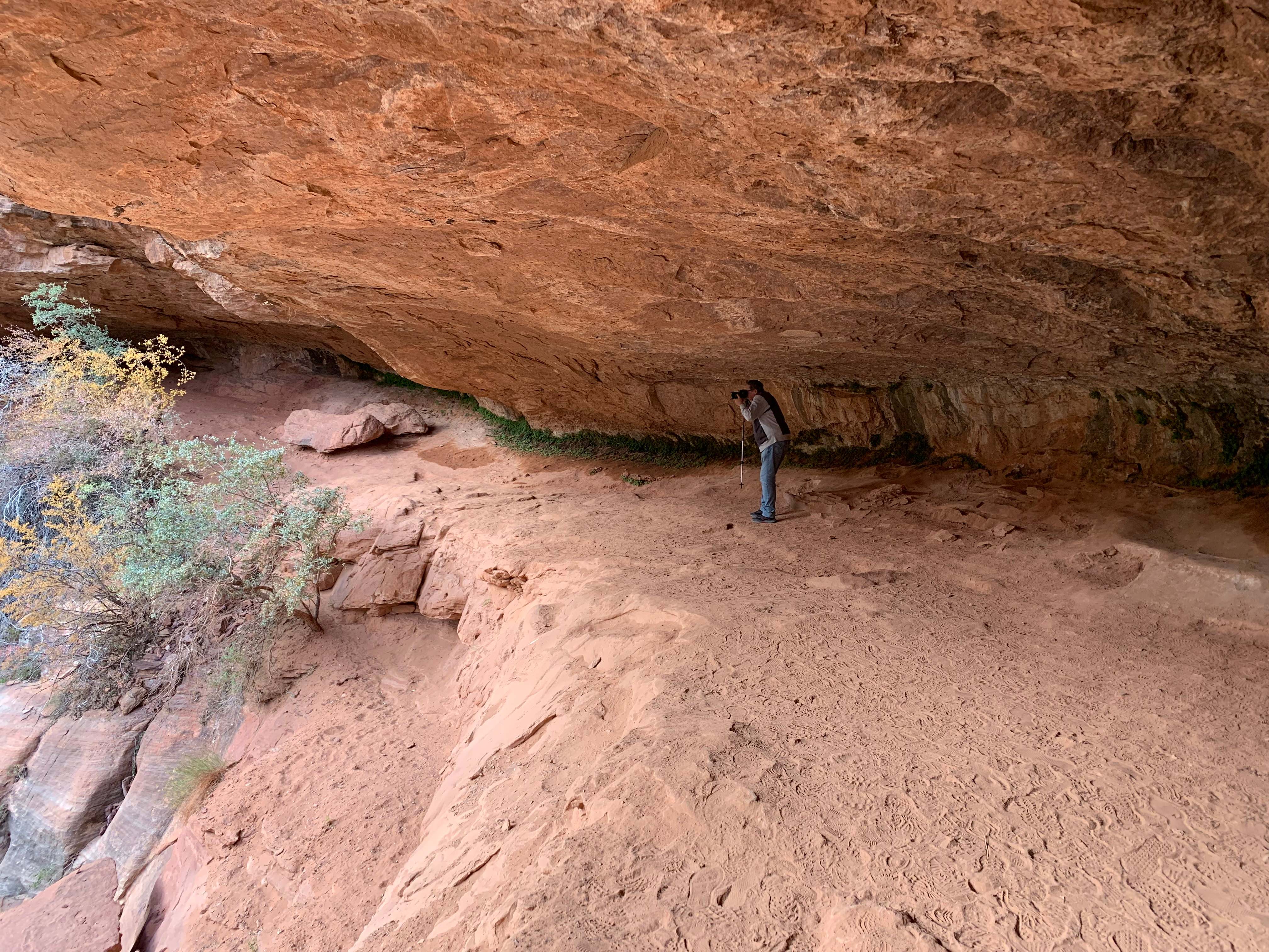 Zion NP